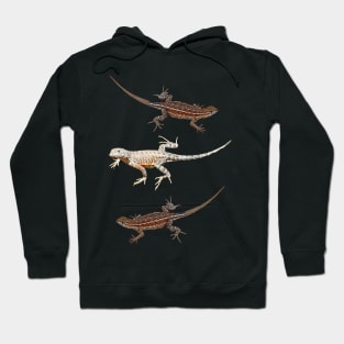 Lizards, Wildlife, gifts, reptiles, Catch me if you can Hoodie